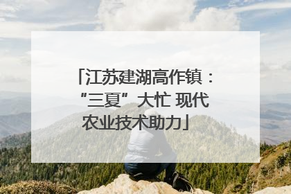 江苏建湖高作镇：“三夏”大忙 现代农业技术助力