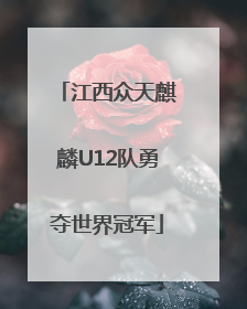 江西众天麒麟U12队勇夺世界冠军