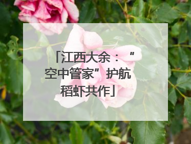 江西大余：“空中管家”护航稻虾共作