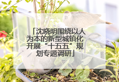 沈晓明围绕以人为本的新型城镇化开展“十五五”规划专题调研