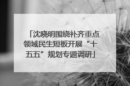 沈晓明围绕补齐重点领域民生短板开展“十五五”规划专题调研
