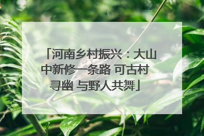 河南乡村振兴：大山中新修一条路 可古村寻幽 与野人共舞
