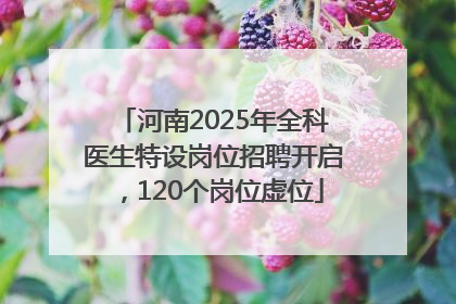 河南2025年全科医生特设岗位招聘开启，120个岗位虚位