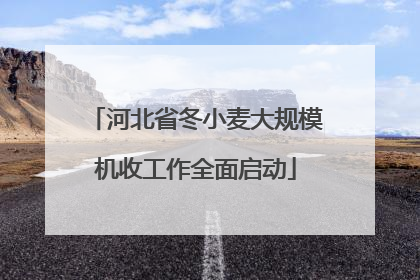 河北省冬小麦大规模机收工作全面启动