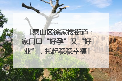 泰山区徐家楼街道：家门口“好孕”又“好业”，托起稳稳幸福