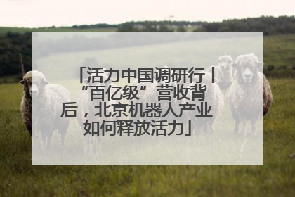 活力中国调研行丨 “百亿级”营收背后，北京机器人产业如何释放活力