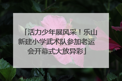 活力少年展风采！乐山新建小学武术队参加老运会开幕式大放异彩
