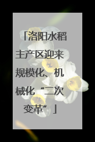 洛阳水稻主产区迎来规模化、机械化“二次变革”