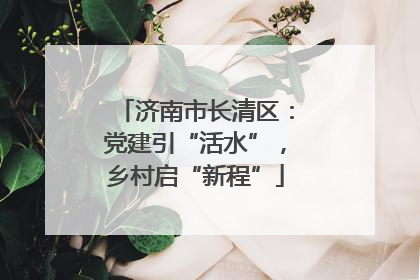 济南市长清区：党建引“活水”，乡村启“新程”