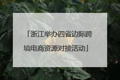 浙江举办四省边际跨境电商资源对接活动