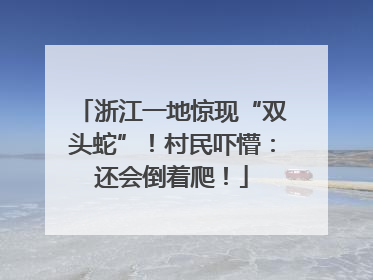 浙江一地惊现“双头蛇”！村民吓懵：还会倒着爬！