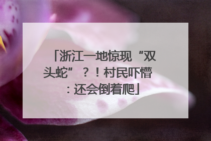 浙江一地惊现“双头蛇”？！村民吓懵：还会倒着爬