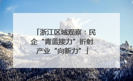 浙江区域观察：民企“青蓝接力”折射产业“向新力”