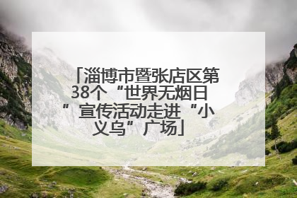 淄博市暨张店区第38个“世界无烟日”宣传活动走进“小义乌”广场