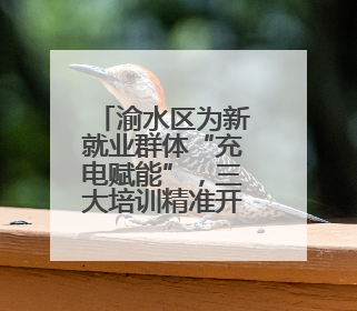 渝水区为新就业群体“充电赋能”，三大培训精准开课！