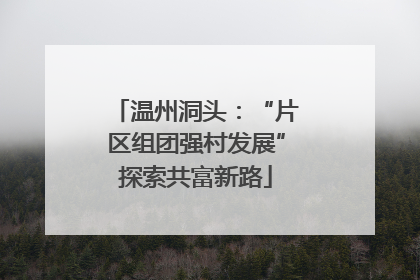 温州洞头：“片区组团强村发展”探索共富新路