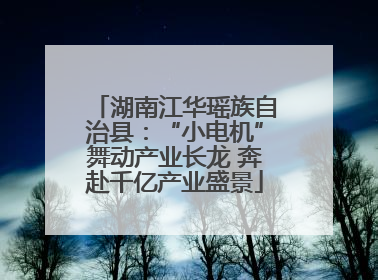 湖南江华瑶族自治县：“小电机”舞动产业长龙 奔赴千亿产业盛景