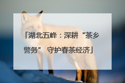 湖北五峰：深耕“茶乡警务” 守护春茶经济