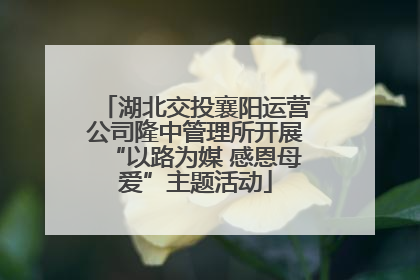湖北交投襄阳运营公司隆中管理所开展“以路为媒 感恩母爱”主题活动