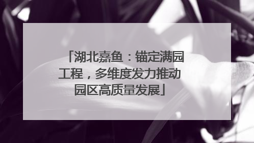 湖北嘉鱼：锚定满园工程，多维度发力推动园区高质量发展