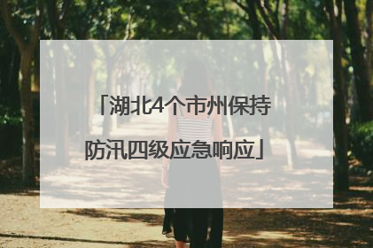 湖北4个市州保持防汛四级应急响应