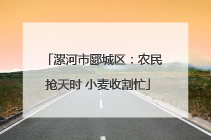 漯河市郾城区：农民抢天时 小麦收割忙