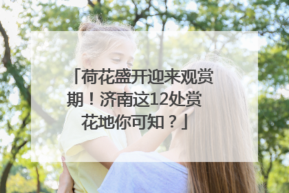 荷花盛开迎来观赏期！济南这12处赏花地你可知？
