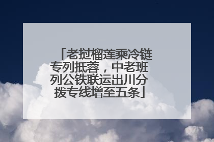 老挝榴莲乘冷链专列抵蓉，中老班列公铁联运出川分拨专线增至五条
