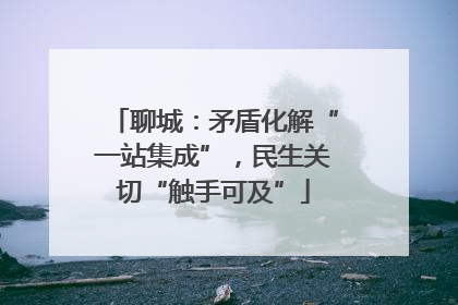 聊城：矛盾化解“一站集成”，民生关切“触手可及”