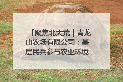 聚焦北大荒｜青龙山农场有限公司：基层民兵参与农业环境综合治理显效