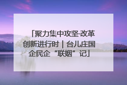 聚力集中攻坚·改革创新进行时｜台儿庄国企民企“联姻”记