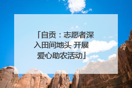 自贡：志愿者深入田间地头 开展爱心助农活动
