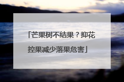 芒果树不结果？抑花控果减少落果危害