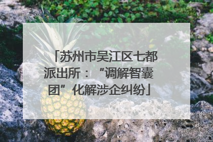苏州市吴江区七都派出所：“调解智囊团”化解涉企纠纷