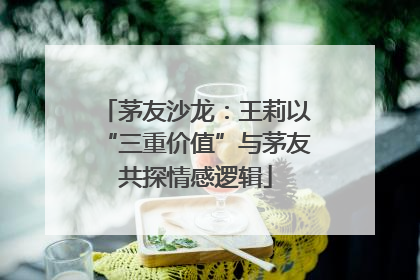 茅友沙龙：王莉以“三重价值”与茅友共探情感逻辑