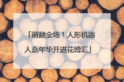 萌翻全场！人形机器人嘉年华开进花博汇