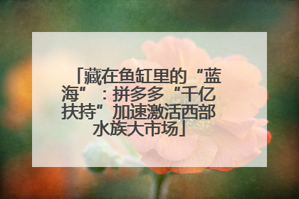 藏在鱼缸里的“蓝海”：拼多多“千亿扶持”加速激活西部水族大市场