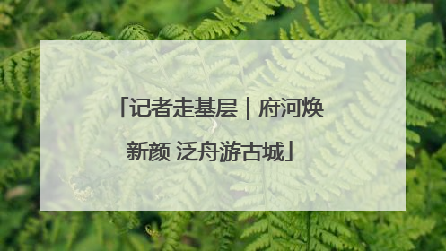 记者走基层｜府河焕新颜 泛舟游古城