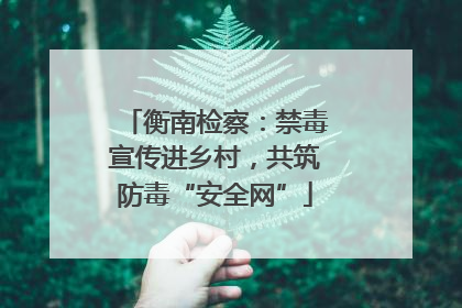 衡南检察：禁毒宣传进乡村，共筑防毒“安全网”