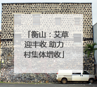 衡山：艾草迎丰收 助力村集体增收