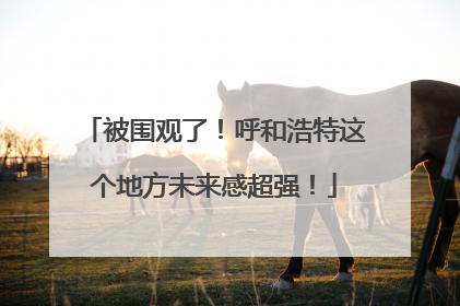 被围观了！呼和浩特这个地方未来感超强！