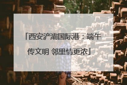 西安浐灞国际港：端午传文明 邻里情更浓