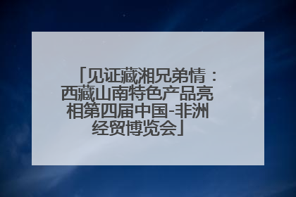 见证藏湘兄弟情：西藏山南特色产品亮相第四届中国-非洲经贸博览会