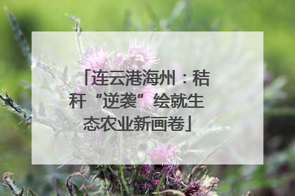 连云港海州：秸秆“逆袭”绘就生态农业新画卷