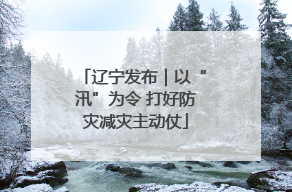 辽宁发布｜以“汛”为令 打好防灾减灾主动仗