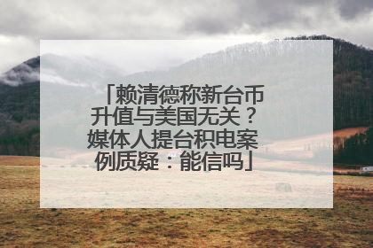 赖清德称新台币升值与美国无关？媒体人提台积电案例质疑：能信吗