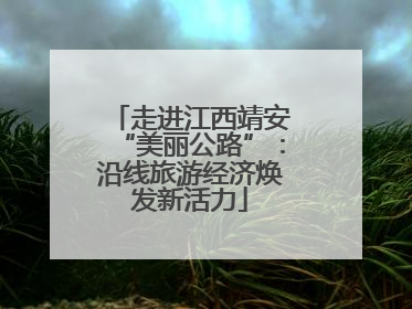 走进江西靖安“美丽公路”：沿线旅游经济焕发新活力