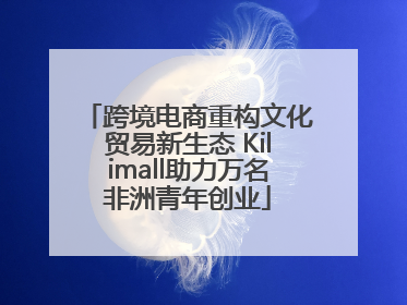 跨境电商重构文化贸易新生态 Kilimall助力万名非洲青年创业