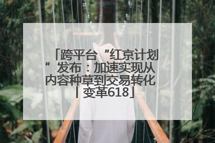 跨平台“红京计划”发布：加速实现从内容种草到交易转化丨变革618