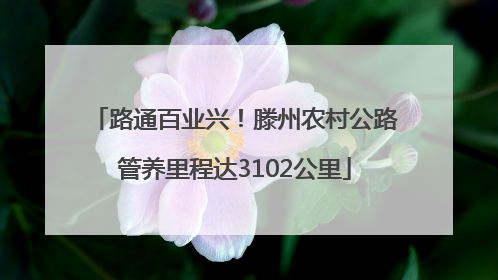 路通百业兴！滕州农村公路管养里程达3102公里